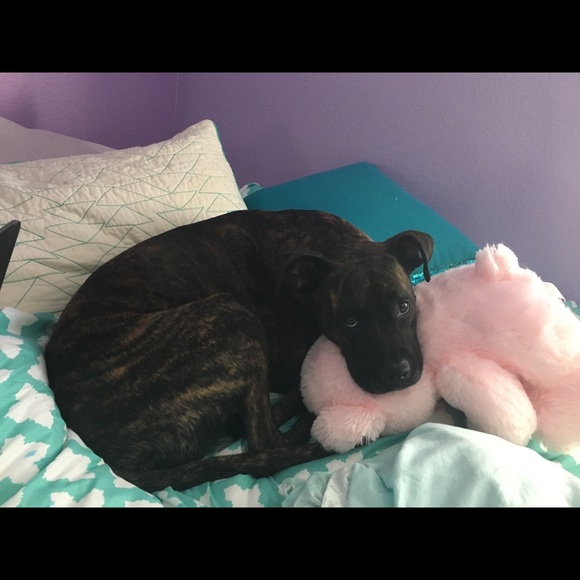 Meet your Posher, Katya - Picture 1 of 1